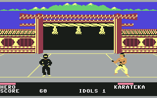 Ninja karateka